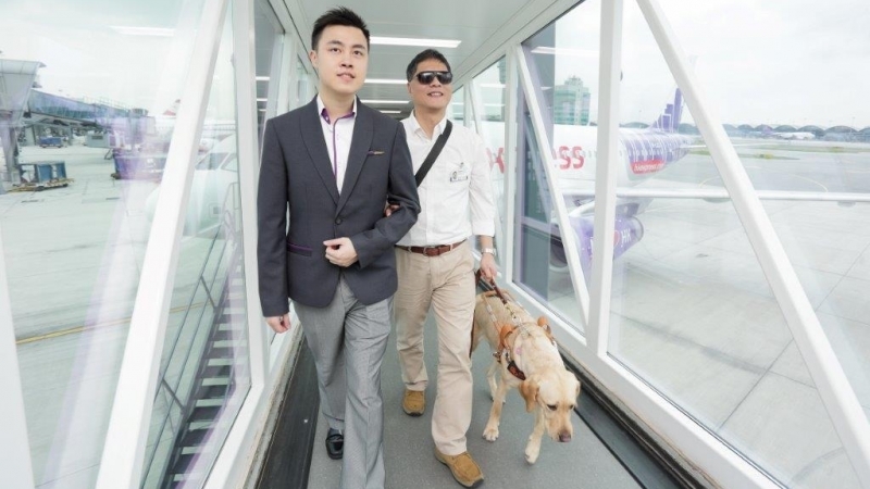 坐飞机无障碍 导盲犬免费坐廉航