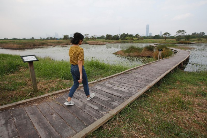 400米長的木棧道兩旁加裝踢腳板，坐輪椅人士使用時將更安心