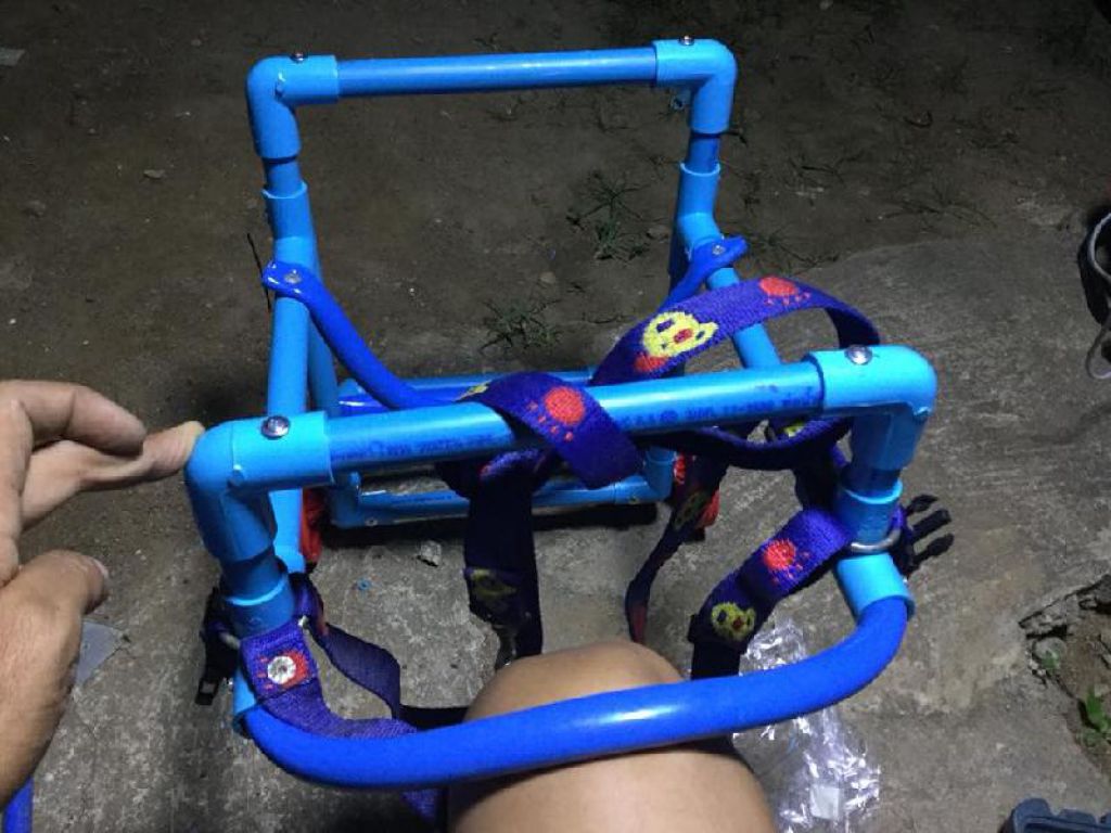 狗兒的“輪椅”