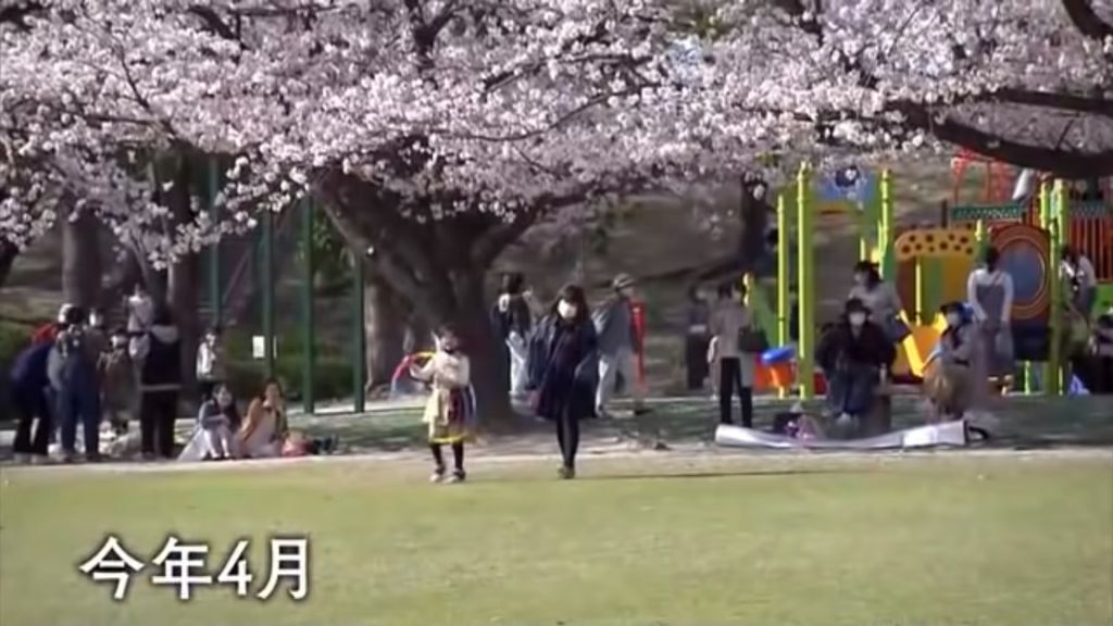 節目組帶兩母女一起看煙花，森亞美感慨地說：「上一次看櫻花，是車禍後在醫院窗外。」