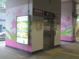 電梯連接往羅湖/落馬洲方向列車月台及大堂